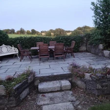 Charlesfort House Ferns