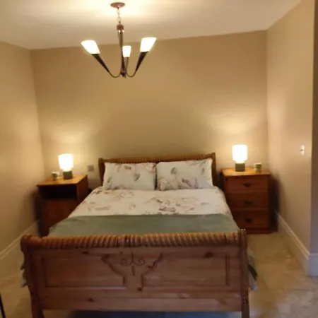 Charlesfort House Ferns