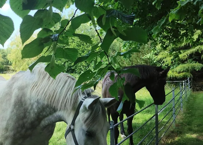 Holiday home Charlesfort House Ferns