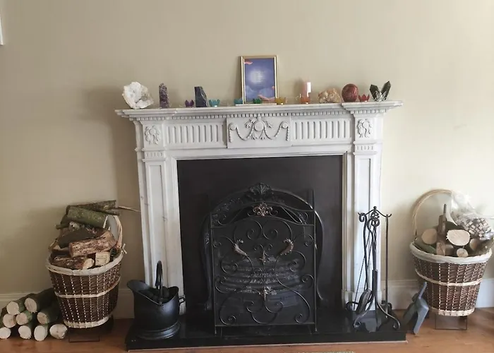 Charlesfort House Ferns