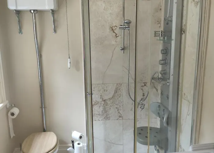 Charlesfort House Ferns