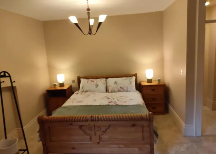 Charlesfort House Ferns