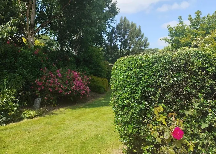 Charlesfort House Ferns