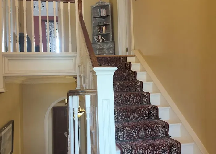 Charlesfort House Ferns