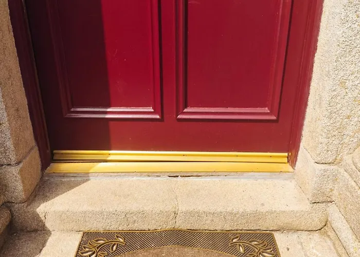 Charlesfort House Ferns